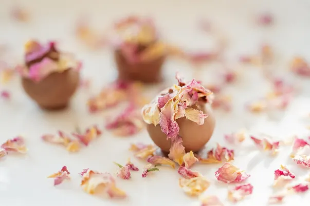 Kasyno Paris VIP Aplikacja Android/iOS